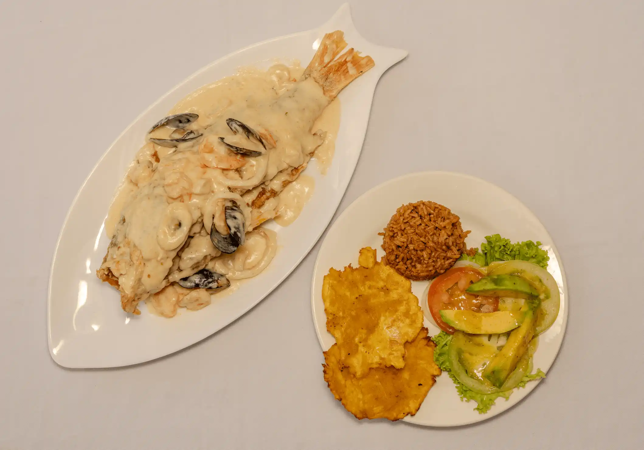 ISLA REAL RED SNAPPER / PARGO ROJO  ISLA REAL